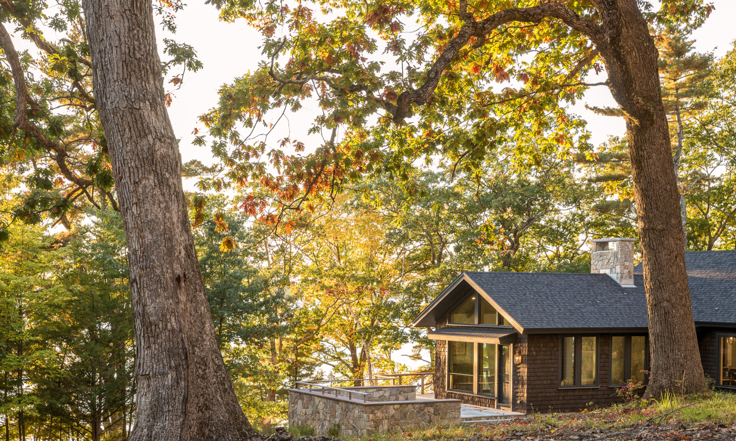 View of the South facing patio Tree house, outdoor patio, stone patio, outdoor spaces, waterfront home